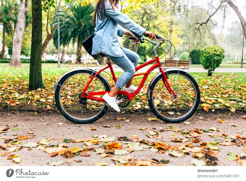 Junge Frau fährt Fahrrad in einem Park Bikes Fahrräder Räder Rad fahren fahrend fahrender fahrendes Parkanlagen Parks weiblich Frauen Raeder Erwachsener