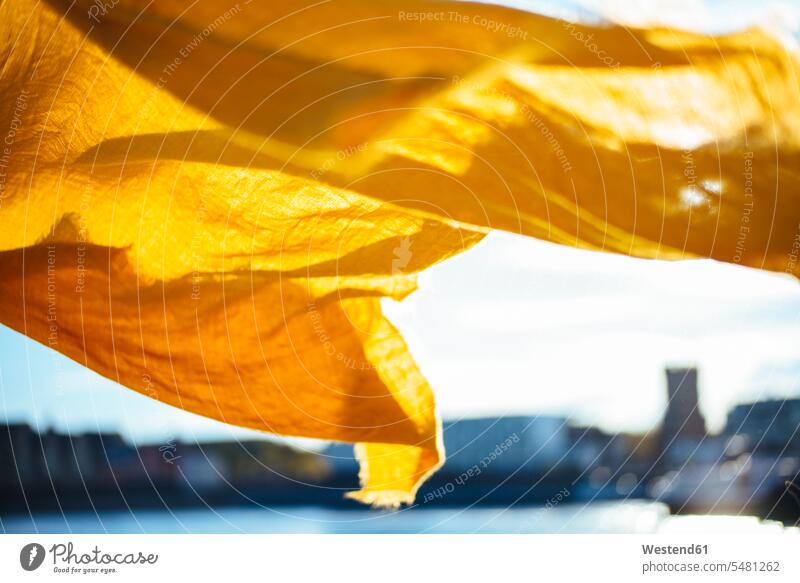Gelbes Tuch weht im Wind Deutschland Tag am Tag Tageslichtaufnahme tagsueber Tagesaufnahmen Tageslichtaufnahmen tagsüber Nahaufnahme Nahaufnahmen Großaufnahme