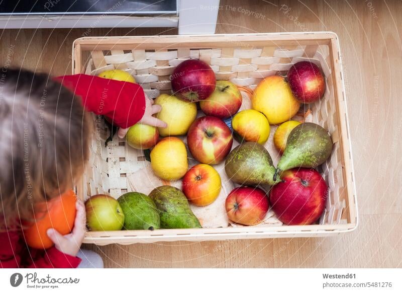 Kleines Mädchen nimmt Apfel, Draufsicht nehmen aufnehmen weibliche Babys weibliches Baby weibliche Babies Frucht Früchte Fruechte Kind Kinder Mensch Menschen