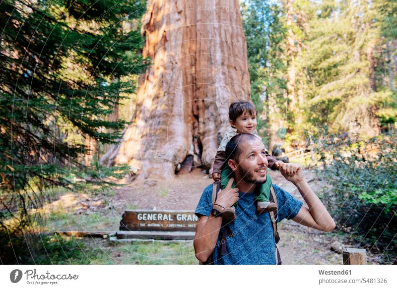 USA, Kalifornien, Vater und Baby besuchen den Sequoia-Nationalpark Papas Väter Vati Vatis Papis Besuch Naturerlebnis Gemeinsam Zusammen Miteinander Urlaub