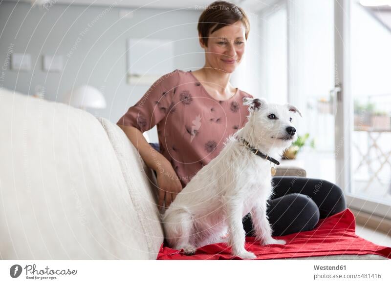 Frau und ihr Hund sitzen zusammen auf der Couch Hunde Sofa Couches Liege Sofas Haustier Haustiere Tier Tierwelt Tiere ansehen sitzend sitzt weiblich Frauen