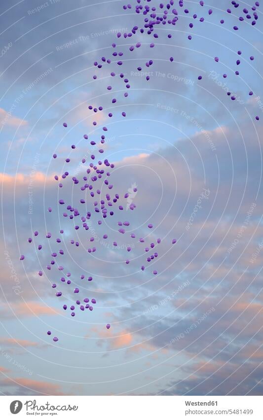 Luftballons am Himmel Ballons Luftballone wegfliegen Natur Stimmungsvoller Himmel viel viele schweben treiben bewölkt Bewölkung Wolke bedeckt Wolken Bewoelkung