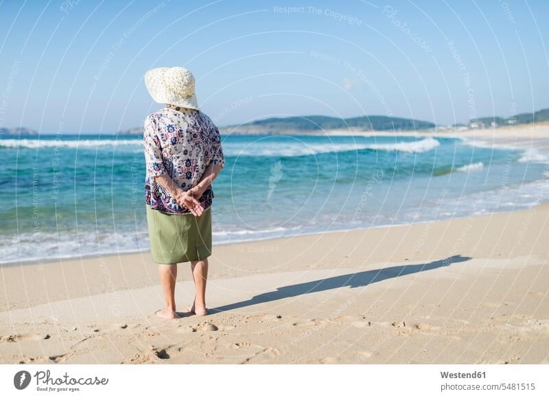 Rückenansicht einer am Strand stehenden älteren Frau steht Seniorin Seniorinnen alt Senioren weiblich Frauen Erwachsener erwachsen Mensch Menschen Leute People