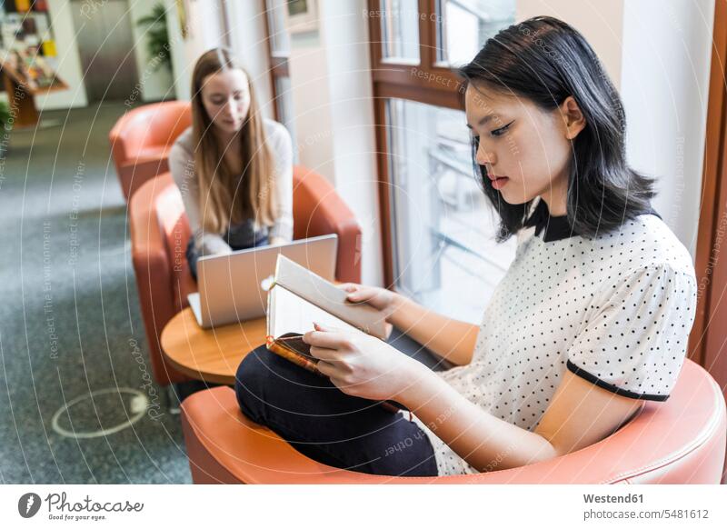 Teenagerin liest ein Buch in einer öffentlichen Bibliothek Bücher lesen Lektüre Leser junges Mädchen Teenagerinnen weiblich junge Frau sitzen sitzend sitzt