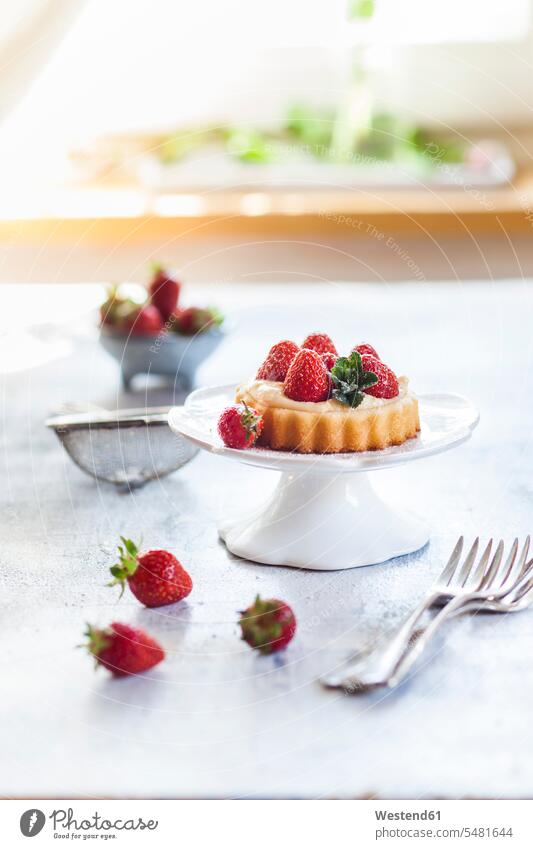 Törtchen mit Puddingfüllung und Erdbeeren Textfreiraum süß Süßes angerichtet garniert servierfertig Dessert Nachspeise Desserts Nachtisch Füllung Fuellung