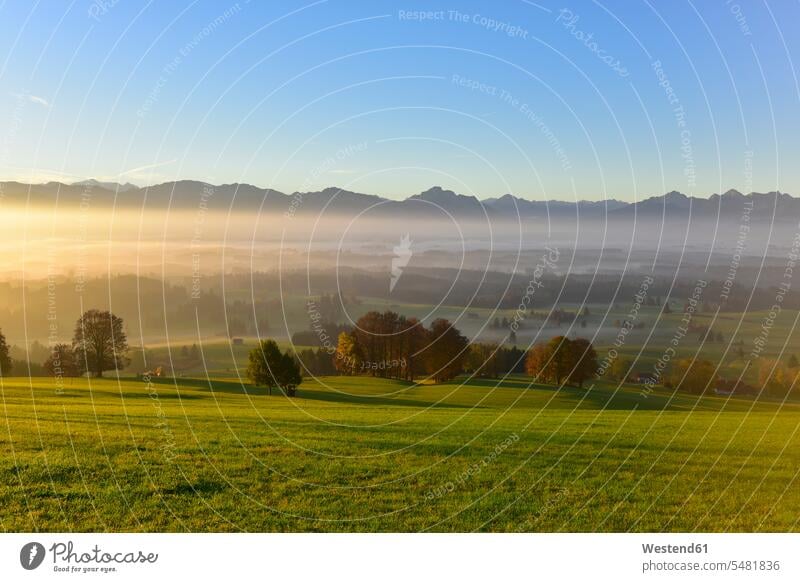 Deutschland, Allgäu, Herbstlandschaft bei Sonnenaufgang Morgenlicht morgendliches Licht Tag am Tag Tageslichtaufnahme tagsueber Tagesaufnahmen