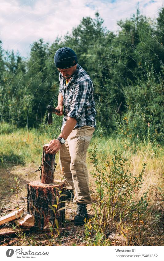 Mann hackt Holz in ländlicher Landschaft hacken Männer männlich hoelzern hölzern Erwachsener erwachsen Mensch Menschen Leute People Personen Natur