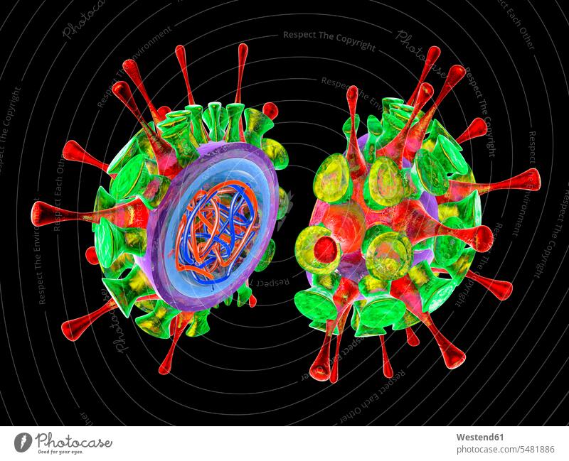 Grippe-Virus, 3D-Darstellung Form Formen Gesundheitswesen Forschung Forschen Hälfte halbe halbiert halber Haelfte schwarzer Hintergrund Kugelform Kugelformen