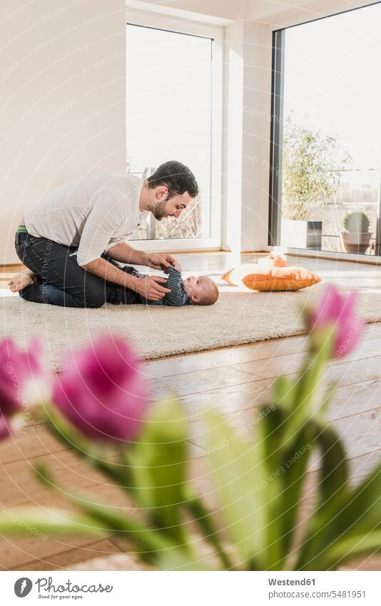 Vater wechselt Windeln und spielt mit seinem kleinen Sohn Papas Väter Vati Vatis Papis lachen spielen wickeln Kind Babies Babys Kinder Zuhause zu Hause daheim