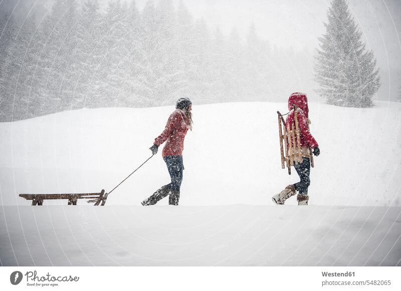 Zwei junge Frauen mit Schlitten bei starkem Schneefall schneien Winter winterlich Winterzeit weiblich Erwachsener erwachsen Mensch Menschen Leute People