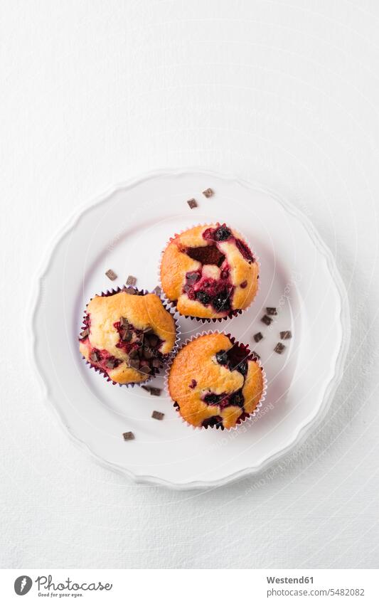 Muffin mit Schokoladenstückchen, Heidelbeeren und Himbeeren auf Teller Food and Drink Lebensmittel Essen und Trinken Nahrungsmittel Blaubeermuffin
