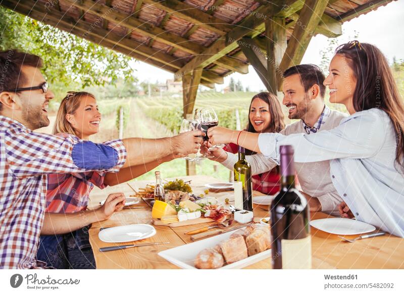 Freunde klimpern auf Rotweingläser bei Tisch im Weinberg anstoßen zuprosten anstossen Rotweine lächeln Weine Freundschaft Kameradschaft Alkohol