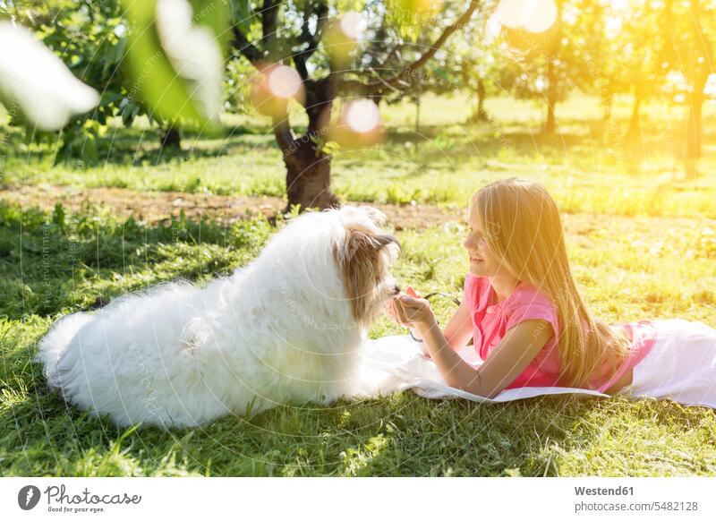 Mädchen liegt mit Hund auf der Wiese Garten Gärten Gaerten liegen liegend Wiesen Hunde glücklich Glück glücklich sein glücklichsein weiblich Haustier Haustiere