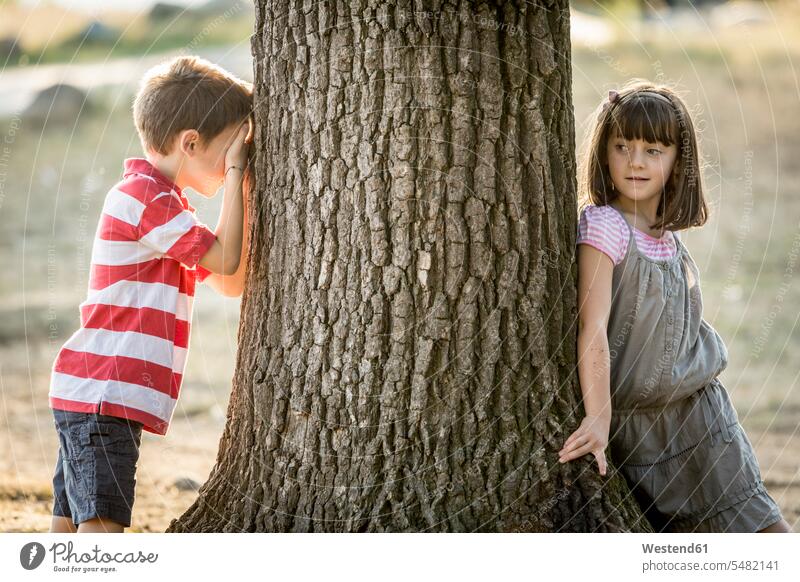 Kleine Jungen und Mädchen spielen Verstecken in der Natur Europäer Kaukasier Europäisch kaukasisch Freunde Tag am Tag Tageslichtaufnahme tagsueber