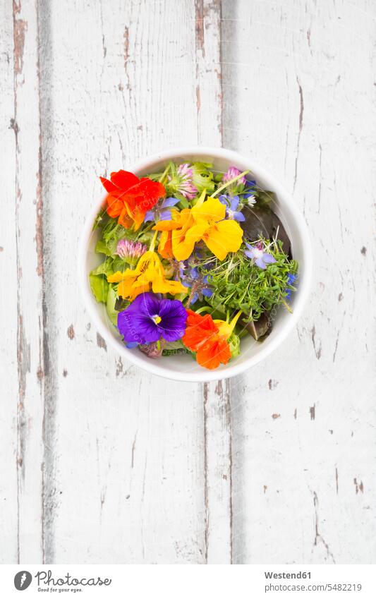 Schale mit Blattsalat mit verschiedenen essbaren Blüten Food and Drink Lebensmittel Essen und Trinken Nahrungsmittel servierfertig angerichtet Essblume