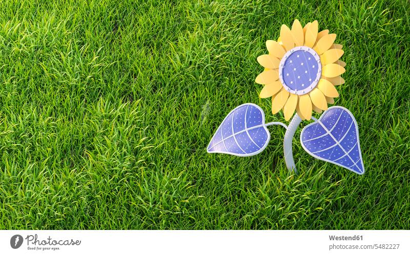 Sonnenblume, 3D-Wiedergabe Umwelttechnik Umwelttechniken Außenaufnahme draußen im Freien Erneuerbare Energie alternative Energie Ökologie Ökoenergie