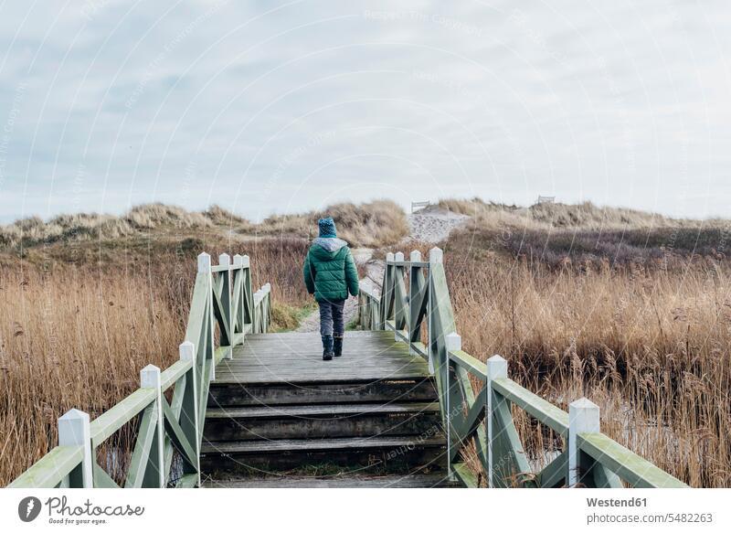 Dänemark, Hals, Junge in Winterkleidung in den Dünen gehen gehend geht Strand Beach Straende Strände Beaches Sanddüne Sanddünen Holzsteg Holzweg Fußweg