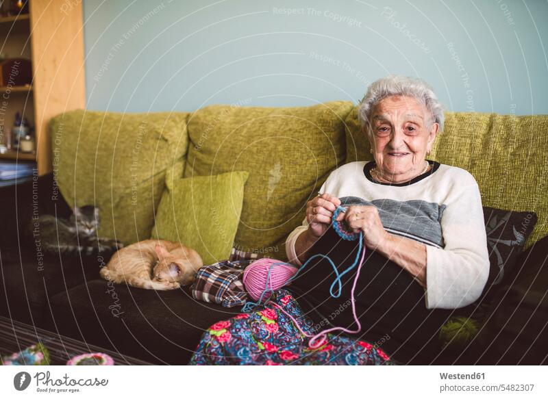 Porträt einer häkelnden älteren Frau, die neben ihren schlafenden Katzen auf der Couch sitzt Sofa Couches Liege Sofas haekeln Seniorin Seniorinnen alt Senioren