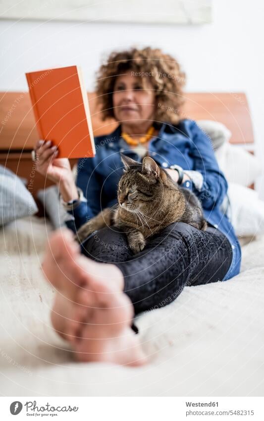 Frau mit Katze auf Bett Lesebuch Katzen lesen Lektüre Buch Bücher weiblich Frauen Haustier Haustiere Tier Tierwelt Tiere Erwachsener erwachsen Mensch Menschen