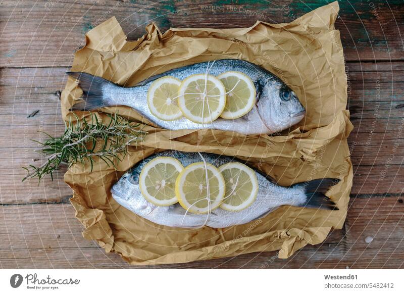 Zwei Meerbrassen auf einem Backpapier mit Zitrone und Rosmarin Dorade Doraden eingewickelt einwickeln verpackt eingepackt hölzern roh Fisch Speisefisch
