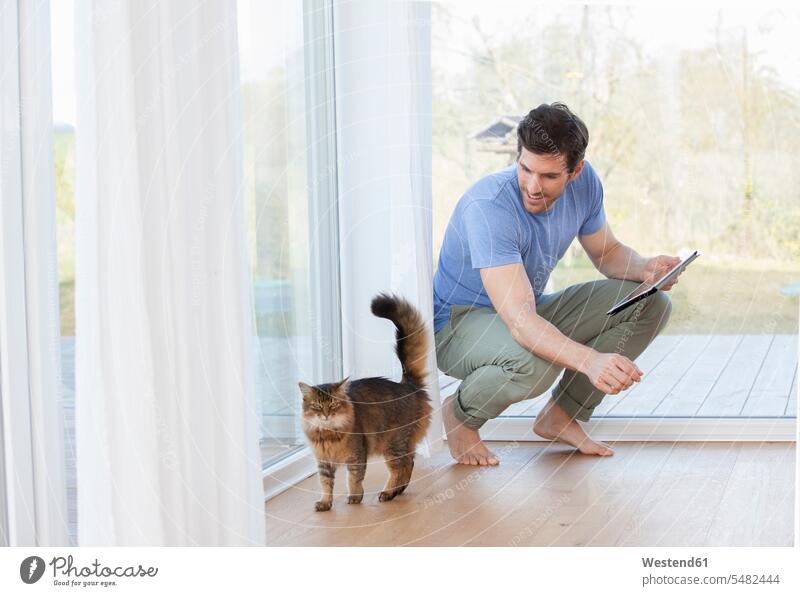 Mann mit digitalem Tablett schaut Katze an Geborgenheit geborgen behütet Sicherheit behüten braune Haare braunhaarig brünett braunes Haar Innenaufnahme drinnen