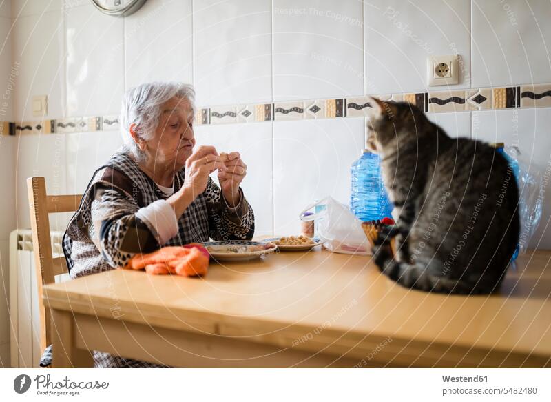 Ältere Frau beim Essen, während die Katze sie beobachtet Europäer Kaukasier Europäisch kaukasisch Besitzerin Esstisch Esstische ungestellt Hauskatze