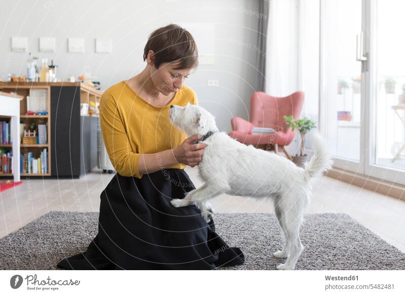 Frau spielt mit ihrem Hund im Wohnzimmer Hunde Wohnraum Wohnung Wohnen Wohnräume Wohnungen weiblich Frauen Haustier Haustiere Tier Tierwelt Tiere Zimmer Raum