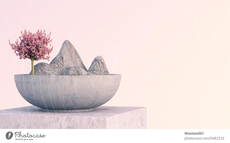 Baum und Berge in Zen-Schale auf Marmorständer Idee Ideen Eingebung Zerbrechlichkeit zerbrechlich rosa rosafarben Asiatisch Wachsen Wachstum Kirschblüte