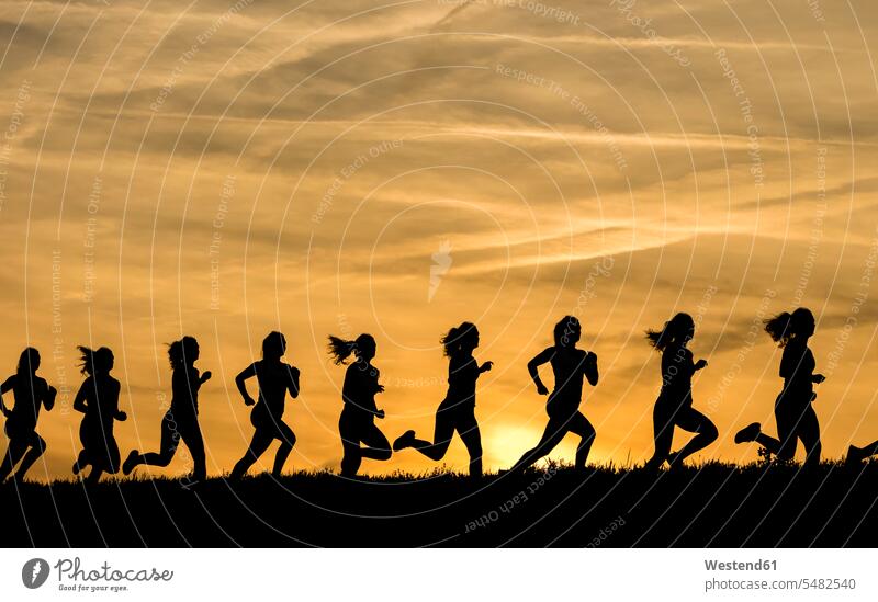 Silhouette einer weiblichen Joggerin bei Sonnenuntergang, Abfolge, Phasen Sport Fitness fit Gesundheit gesund Joggerinnen laufen rennen Freizeitsport