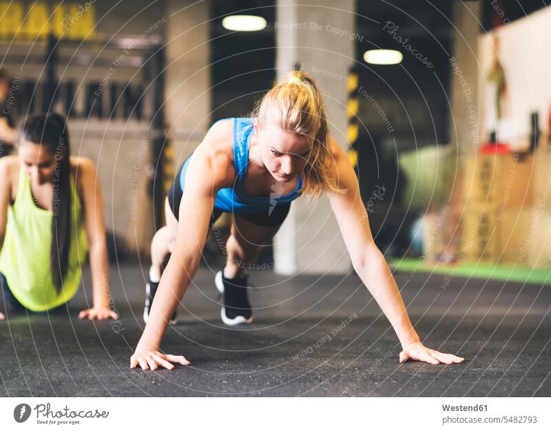 Junge Frau macht Liegestütze im Fitnessstudio trainieren weiblich Frauen Gymnastik Liegestützen Push-Up Pushups Push-Ups Erwachsener erwachsen Mensch Menschen