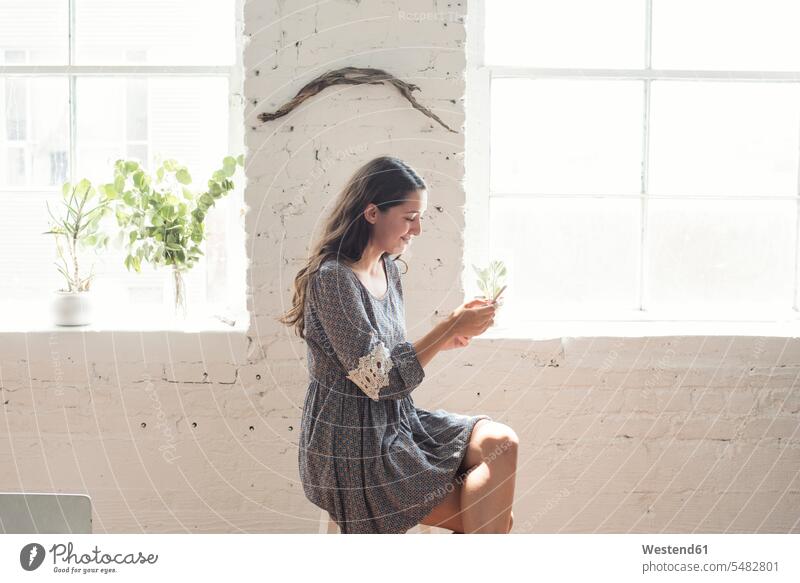 Lächelnde junge Frau, die in einem Loft auf ihr Handy schaut Fenster weiblich Frauen sitzen sitzend sitzt Mobiltelefon Handies Handys Mobiltelefone Erwachsener