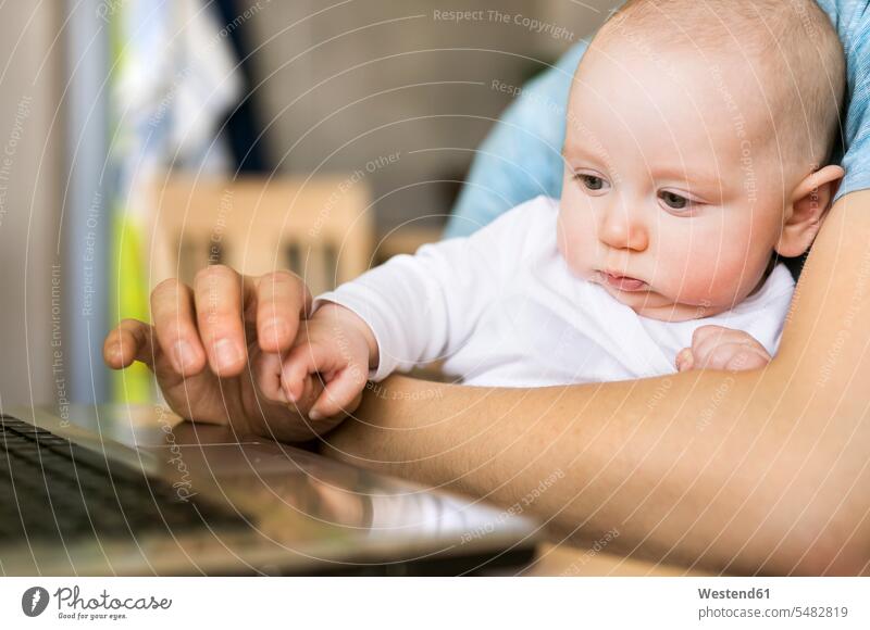 Vater mit kleinem Sohn benutzt Laptop zu Hause Baby Babies Babys Säuglinge Kind Kinder Papas Väter Vati Vatis Papis Notebook Laptops Notebooks Mensch Menschen