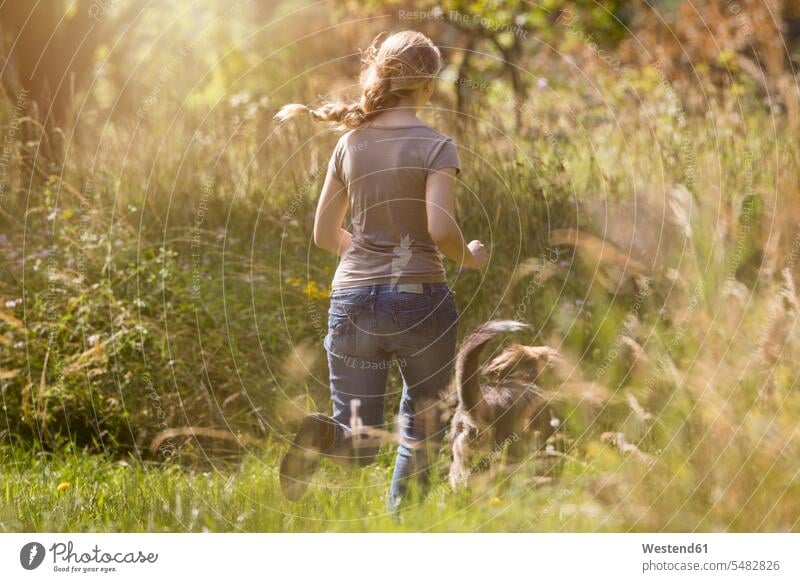 Rückenansicht einer jungen Frau, die ihrem Hund auf einer Wiese nachläuft weiblich Frauen Mischlingshund Mischlinge Mischlingshunde Hunde Erwachsener erwachsen