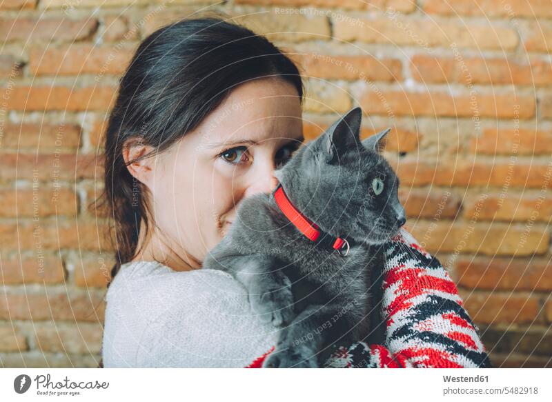Frau mit Russisch Blau auf der Schulter Katze Katzen weiblich Frauen Haustier Haustiere Tier Tierwelt Tiere Erwachsener erwachsen Mensch Menschen Leute People