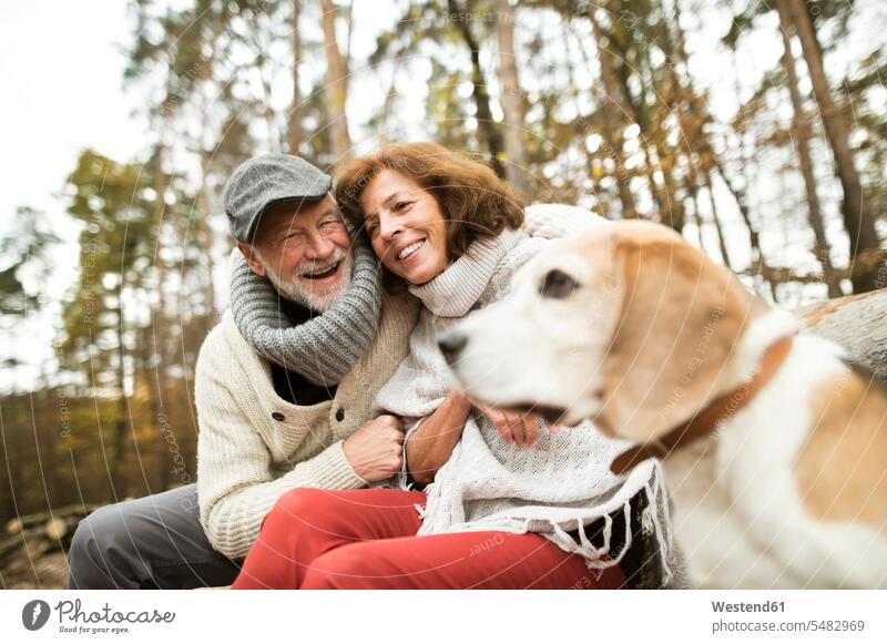 Glückliches älteres Ehepaar mit Hund in der Natur Seniorenpaar älteres Paar Seniorenpaare ältere Paare Seniorenpärchen Erwachsenes Paar Erwachsene Paare Pärchen