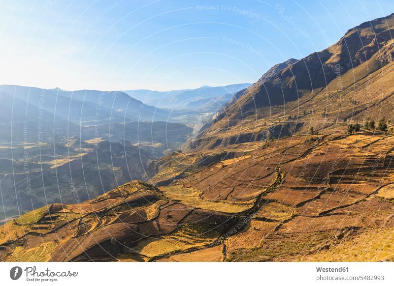 Peru, Anden, Chivay, Colca Canyon, abgeerntete Maisfelder Niemand Anbau anbauen Berg Berge ländliches Motiv nicht städtisch Panorama Natur Colca-Tal Anbaufläche