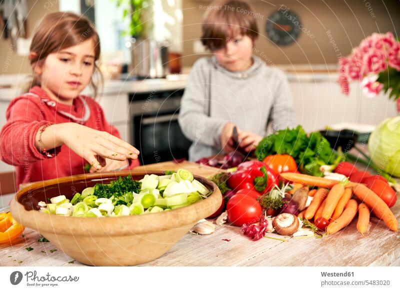 Junge und Mädchen hacken Gemüse in der Küche schneiden Gemuese zubereiten kochen Essen zubereiten Freunde Vorbereitung vorbereiten Food Food and Drink