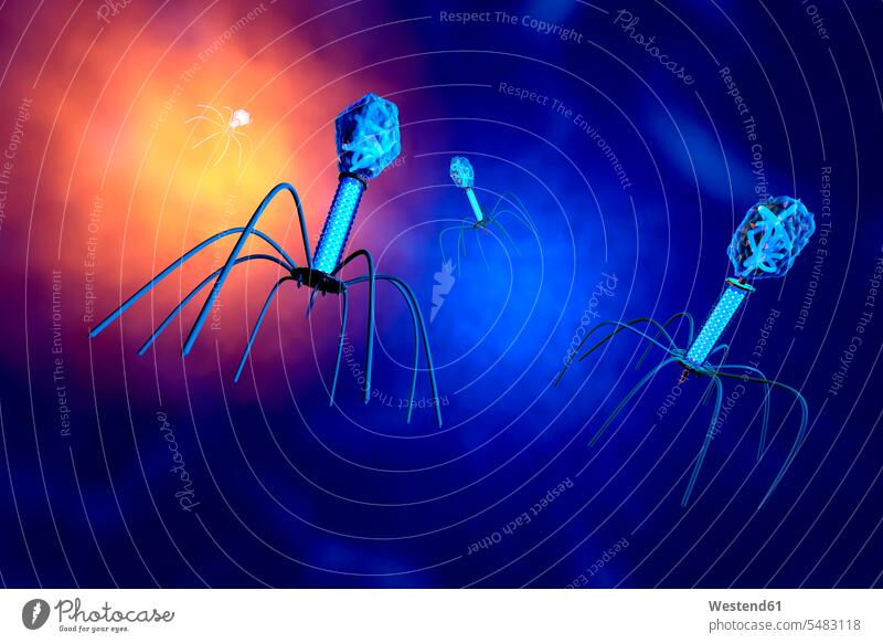 3D-gerenderte Illustration einer anatomisch korrekten Konvergenz zu einer Gruppe von Bakteriophagenviren Forschung Forschen Makro Makroaufnahme dreidimensional