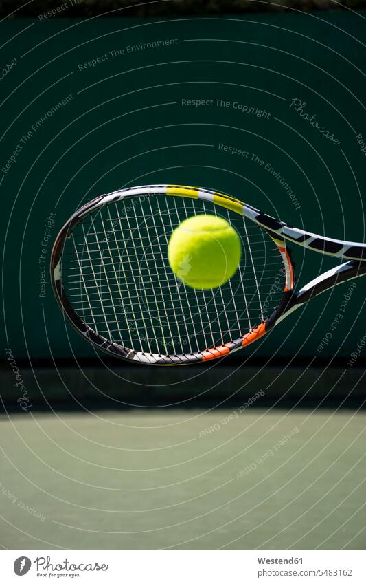 Schläger, der einen Ball schlägt Hobby Hobbies Freizeit Muße Sport Tennis Tennisspiel treffen Treffer Treffer erzielen punkten Freizeitaktivität sportlich