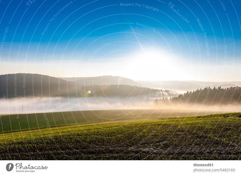 Deutschland, Baden-Wuerttemberg, Tauberbischofsheim, laendliche Landschaft mit Bodennebel Schönheit der Natur Schoenheit der Natur Tag am Tag Tageslichtaufnahme