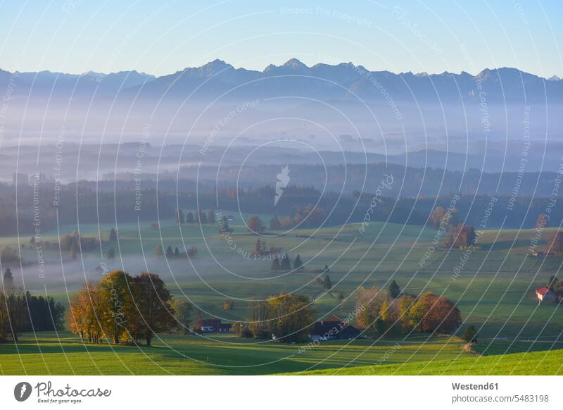 Deutschland, Allgäu, Herbstlandschaft im Morgennebel Landschaftsaufnahme Landschaftsfotografie Ruhe Beschaulichkeit ruhig Herbstfarben Herbstfärbung Tag am Tag