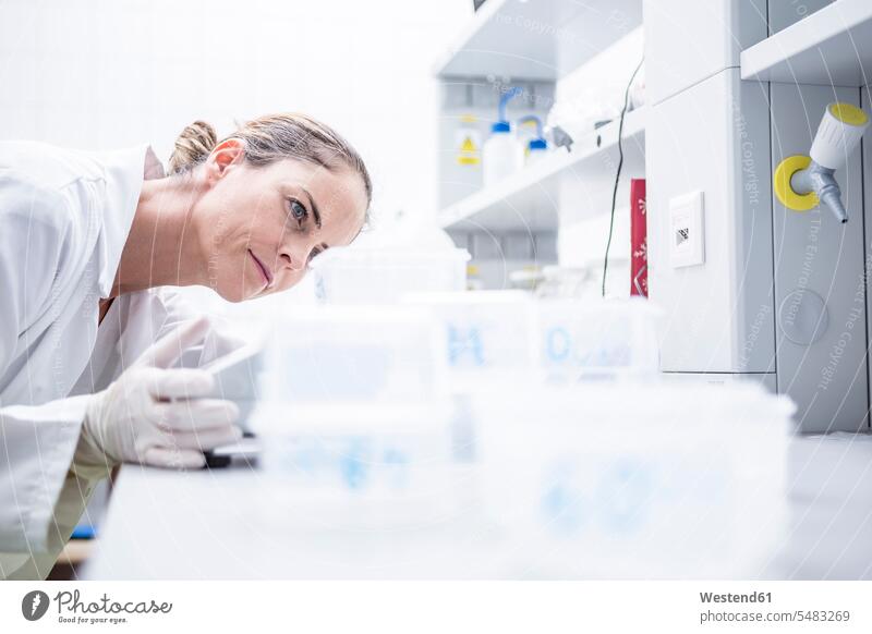 Wissenschaftlerin im Labor untersucht Proben wissenschaftlich Wissenschaften Muster Frau weiblich Frauen Wissenschaftlerinnen untersuchen prüfen Labore