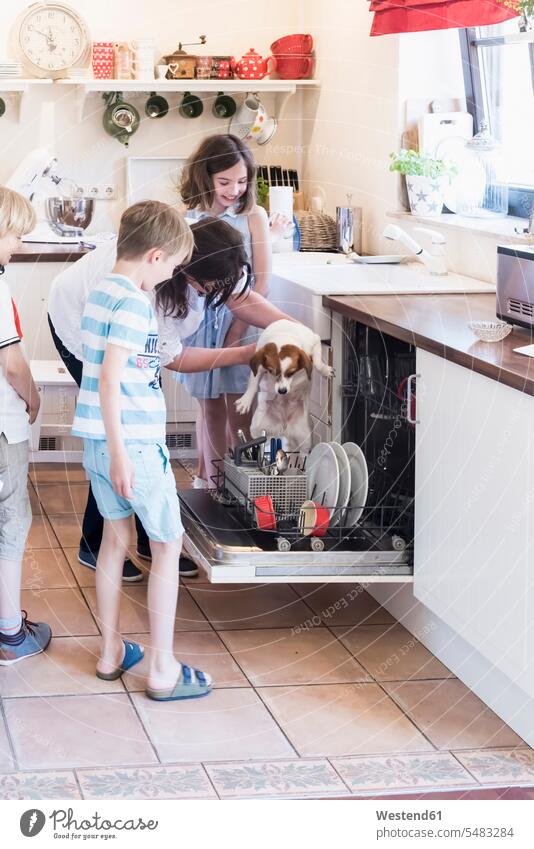 Familie und Hund in der Küche beim Geschirrspüler Küchen Mutter Mami Mutti Mütter Mama Familien Hunde Geschirrspülmaschine Spülmaschine Eltern Mensch Menschen