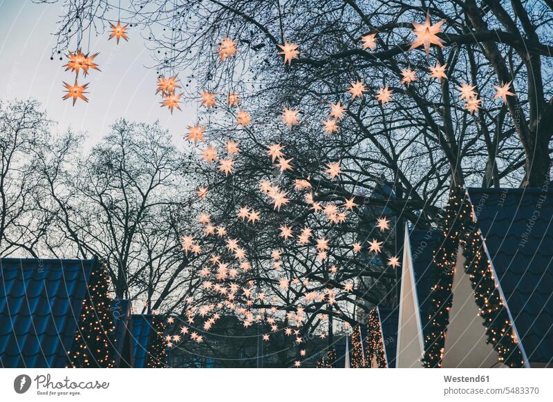 Dekoration von Papiersternen auf Bäumen über den Dächern des Weihnachtsmarktes in der Abenddämmerung beleuchtet Beleuchtung Oberer Ausschnitt obere Hälfte Tag