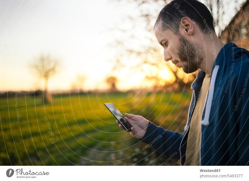 Mann überprüft das Smartphone bei Sonnenuntergang auf einer grünen Wiese Europäer Kaukasier Europäisch kaukasisch Verbindung verbunden verbinden Anschluss Tag