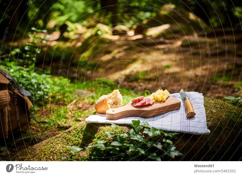 Imbiss mit Brot, Käse und Salami in den Wäldern Food and Drink Lebensmittel Essen und Trinken Nahrungsmittel herzhaft Holzbrett Holzplatten Holzbretter Wald