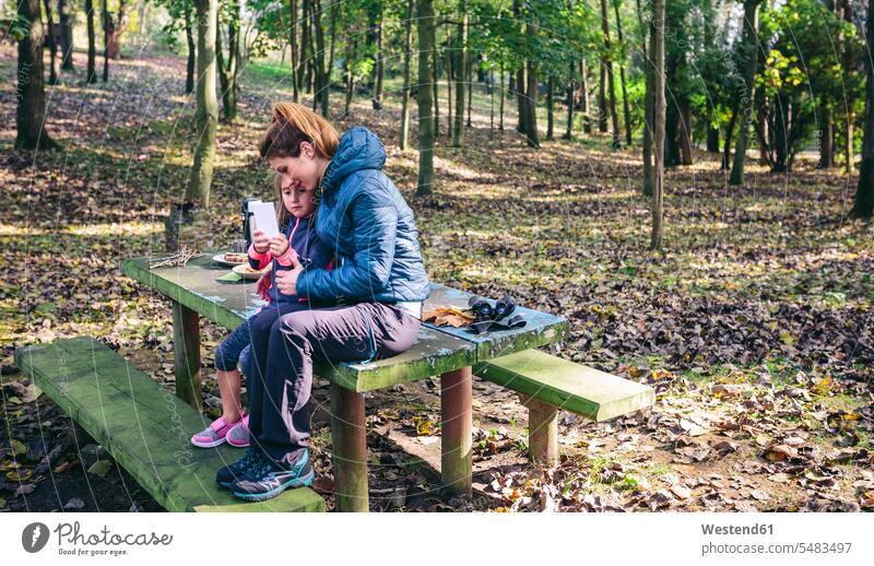 Mutter und kleine Tochter sitzen am Picknickplatz im Wald und spielen mit dem Smartphone Töchter Mami Mutti Mütter Mama Herbst Kind Kinder Familie Familien
