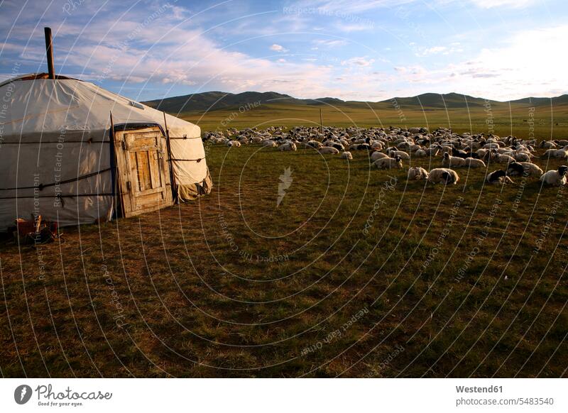 Mongolei, Provinz Arkhangai, Nomadenlager, Schafherde Wolke Wolken Schlichtheit Einfachhheit einfach Landschaftsaufnahme Landschaftsfotografie Nomadenzelt