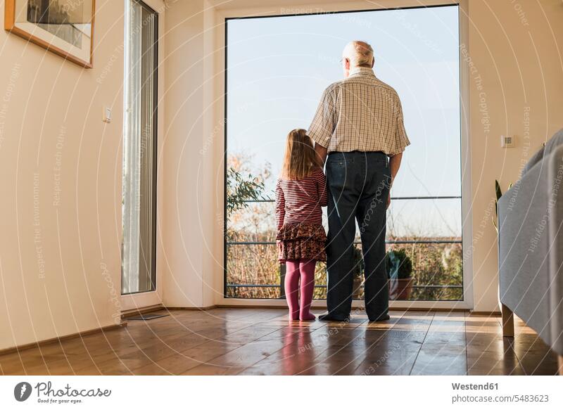 Großvater und Enkelin schauen aus dem Fenster, Rückansicht stehen stehend steht Enkeltochter Enkelinnen Enkeltöchter schauend anschauen betrachten Gemeinsam