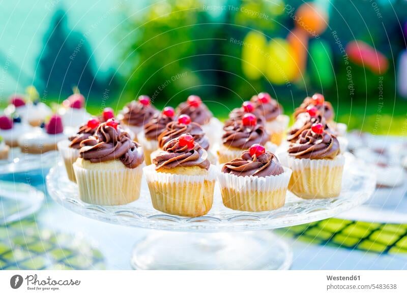 Cup Cakes am Kuchenstand bei der Kindergeburtstagsfeier Garten Gärten Gaerten süß Süßes Fokus Auf Den Vordergrund Fokus Auf Dem Vordergrund Nahaufnahme